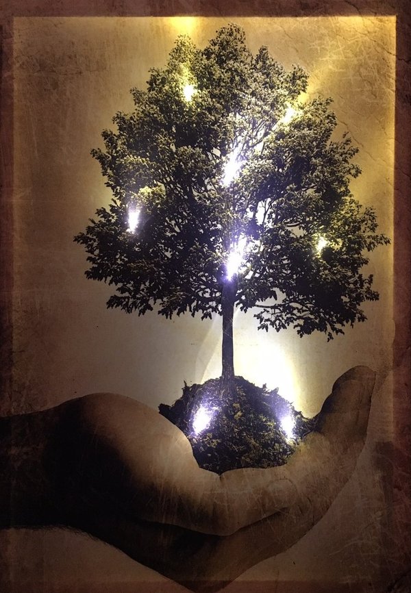 LED - Bild / Natur - Baum (Art: L-070)