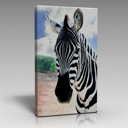 Leinwandbild / Zebra (Art: C-005)